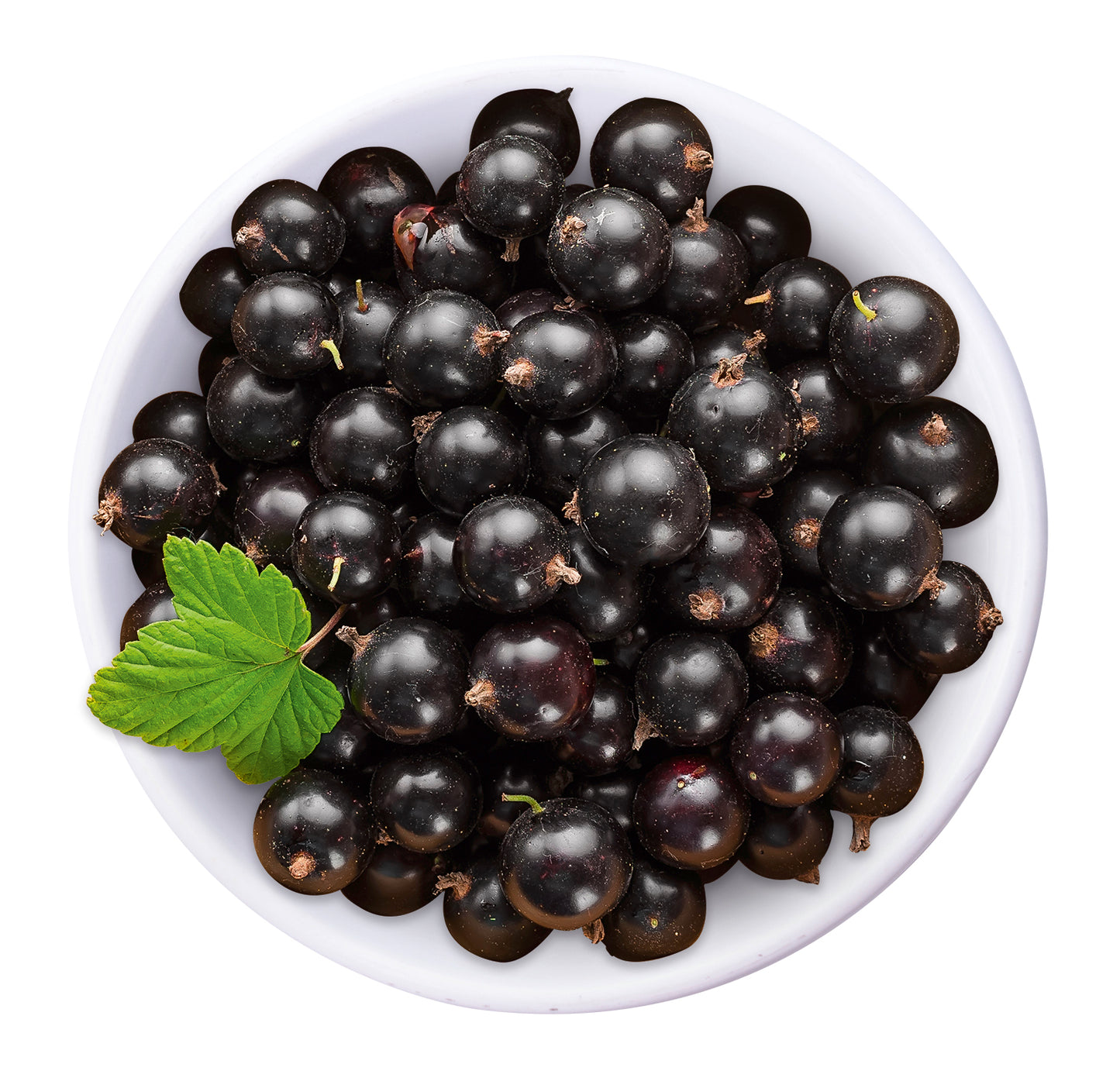 Aceto Balsamico di Ribes Nero 