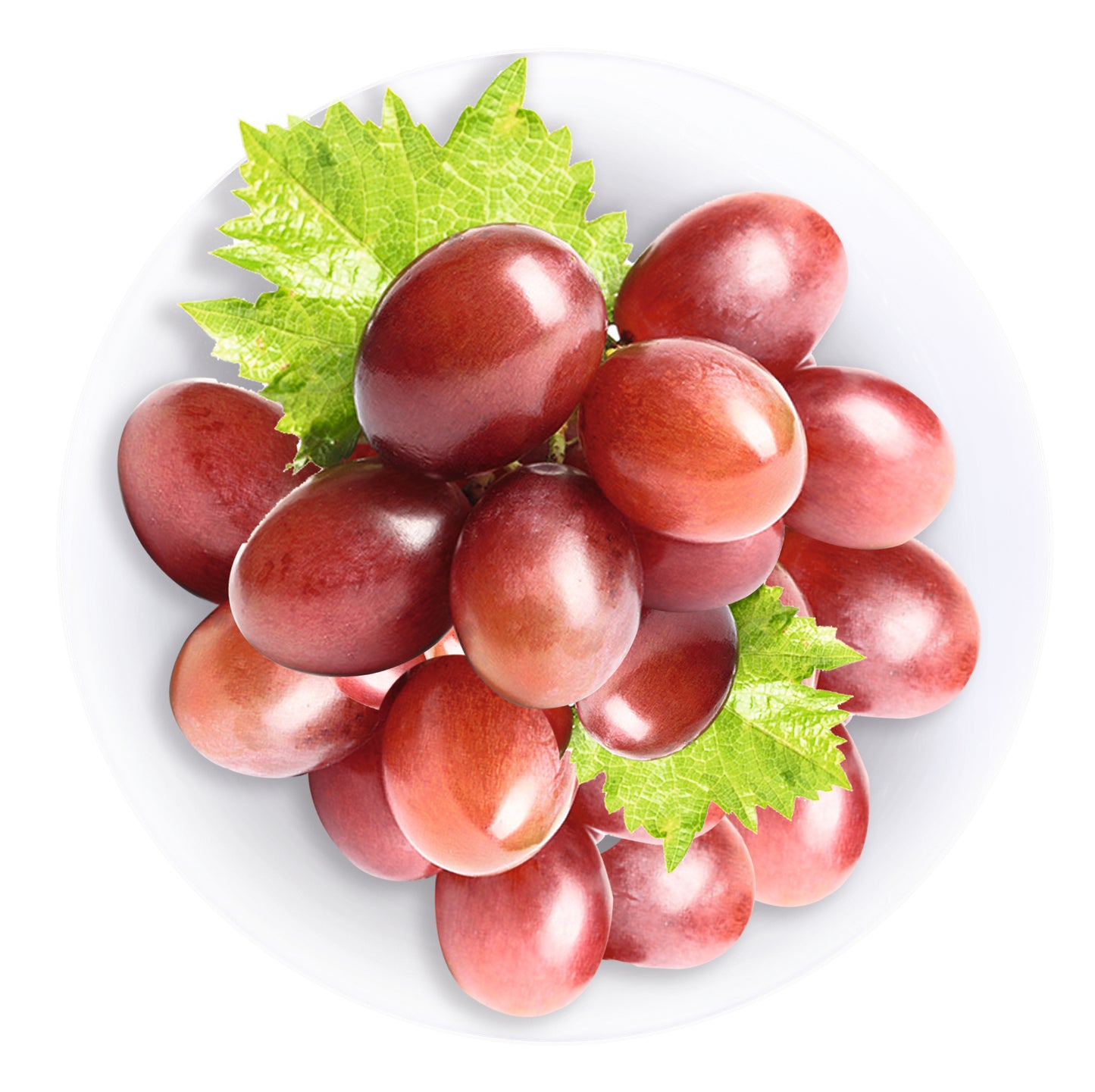 red wine vinegar